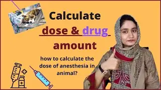 drug dose calculation | how to calculate Dose Of Anesthesia In Animals