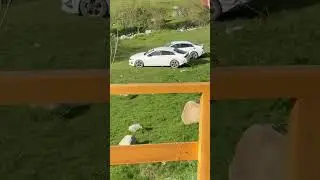 Красата отдых центр #automobile #trending #trend #gaming #trendingshorts #trendingshorts #tiktok #tr