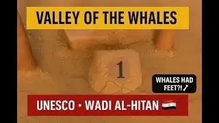 Valley of the Whales Egypt 🇪🇬 | Walking Among 40-Million-Year-Old Whale Fossils