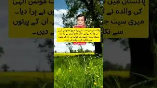 Chaudhry Pervaiz Elahi&rsquo;s Bold Statement on Elections & &ldquo;Witchcraft&rdquo;