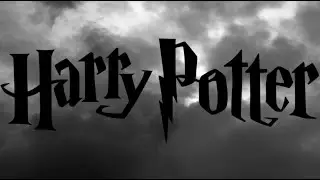 HARRY POTTER WOULD YOU RATHER FITNESS