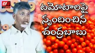 టమోటాలపై స్పందించిన చంద్రబాబు||tomato price in ap||Chandrababu latest updates||@CECFACTS