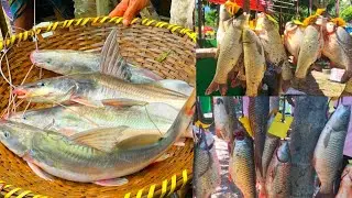 Unique Fishing Techniques