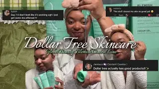 I used Global Beauties Blemish control line for 7 days straight on acne-prone skin #dollartree