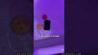 Le migliori idee regalo per natale PT 2
