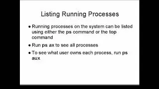 Operating Systems - Linux Basics 2