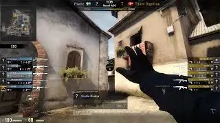 fnatic flusha vs dignitas (Fragbite Masters Season 3) (CT-Only)