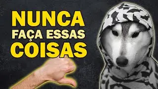 04 Coisas que você NUNCA deve fazer para um Husky Siberiano