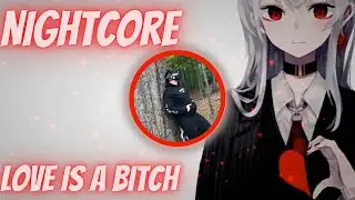 Nightcore - Two Feet - Love Is a Bitch [DENIZ] Lyrics