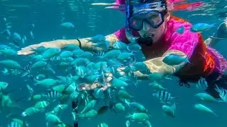 Full Body Fish Massage: Travel Vlog