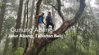 PENDAKIAN GUNUNG ADENG TABANAN BALI JALUR ABANG, 1.826 MDPL