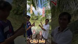 Test Thử Cần Đ&agrave;i Mới Mua #shorts #anhtukhai