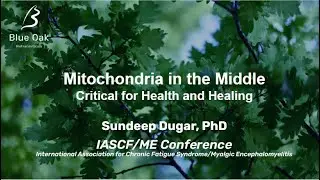 2025 IACFS ME Conference Chronic Fatigue Syndrome Myalgic Encephalomyelitis with Dr Sundeep Dugar
