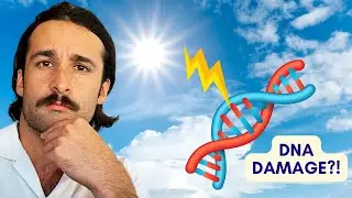 UV light damages DNA...but also provides the ANTIDOTE