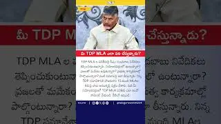 Rate Your TDP MLA's Performance! #tdp  #newsMLARating #cbn  #TDPReview #RateYourMLA #jagan #kutami