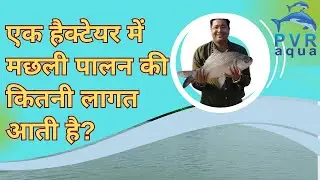 Fish Farming Operational Costs: One Hectare Detailed Breakdown #FishFarming