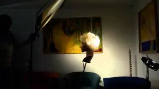 Was ist eine Gloriole?