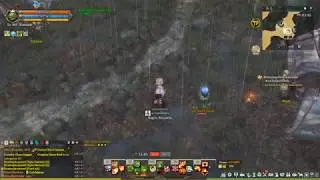 Doing 1,999,998 damage in just ONE meteor. [Tree of Savior]
