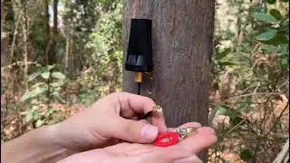 How to Improve Your Cellular Trail Camera Signal with Bingfu 4G LTE Antenna