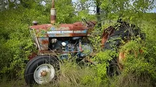 FORGOTTEN Farm Tractor! Will it start