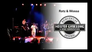 Rotz und Wossa Meister Groessing & seine Hom&ouml;opathen Kurt Ostbahn