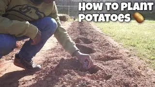 How to Plant Potatoes&hellip;.