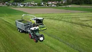 Grassilieren 2023 im unteren Mühlviertel