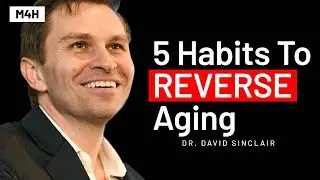 DAILY HABITS To REVERSE YOUR AGE & Live Longer | Harvard Genetics Professor David Sinclair