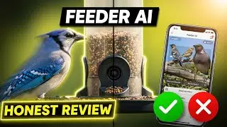 Feeder AI Review &ndash; Smart Bird Feeder Tested (Honest Pros & Cons)