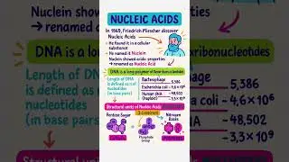 Why Nucleic Acids Matter (Intro to Nucleic Acids)