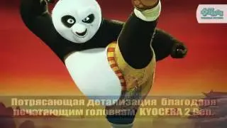 Оборудование Dilli Neosun