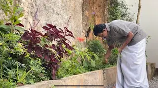 അർശസ്സിനും യൂറിക്കാസിഡിനും ക്രിയാറ്റിൻ കൂടുന്നതിനും നമ്മുടെ വീട്ടിൽ തന്നെ  പ്രധിവിധി