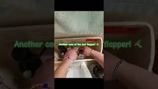 Bad toilet 🚽 flapper. #maintenance #plumbing #diy #bluecollar