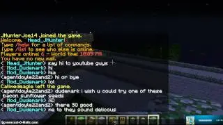 Minecraft Server