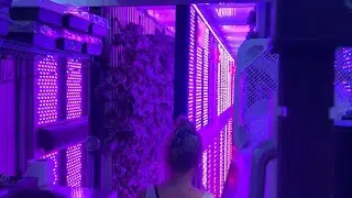 Growing Food for Dinner at The Farm, Seven Stars Resort, Turks and Caicos