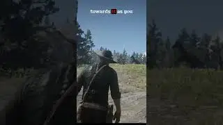 RDR2 - Another gorgeous horse with top notch specs for free