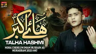 Haye Akbar | Talha Hashmi | Nohay | Moharram | 2025| TP Muharram