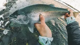 Fly Fishing Ontario Winter Steelhead - Epic Grabs Swinging a Fly