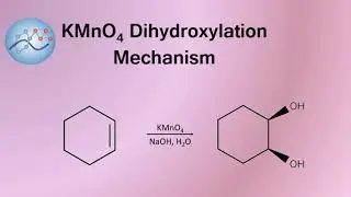 KMnO4 Dihydroxylation Mechanism | Organic Chemistry