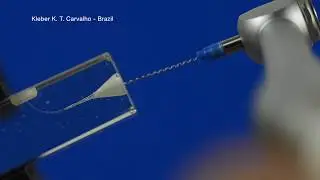 Introducing BC Paste Fillers from Brasseler USA