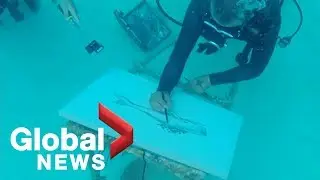 Underwater artist draws inspiration while diving