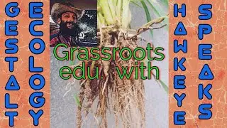 Gestalt Ecology: from Nate Hagens to Ray Archuleta, Daniel Schmachtenberger to Allan Savory