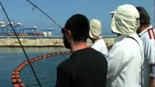 דייג גומבר בשידור חי