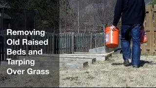 Removing Old Raised Beds and Covering Grass with Tarps
