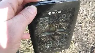 Метеостанция Digoo DG-TH1130 - как бликует дисплей