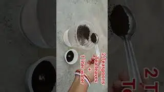 Tea Leaves Fertilizer for any Plants / Best Organic Fertilizer for Plants #shorts #youtubeshorts