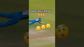 KANE WILLIAMSON WHAT A CATCH