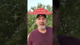 MILLION DOLLAR CHALLENGE DAY117 #cryptotradingbot #traveltrading #tradingbot #milliondollarchallenge