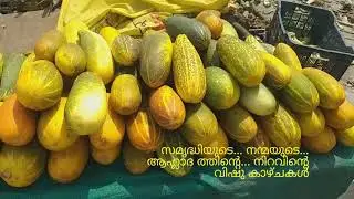 Vishu Kazchakal 2019  #Vishu2019
