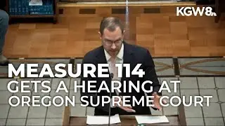 Oregon gun control law heard in state supreme court